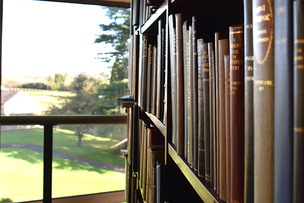 New windows in the Monastery library