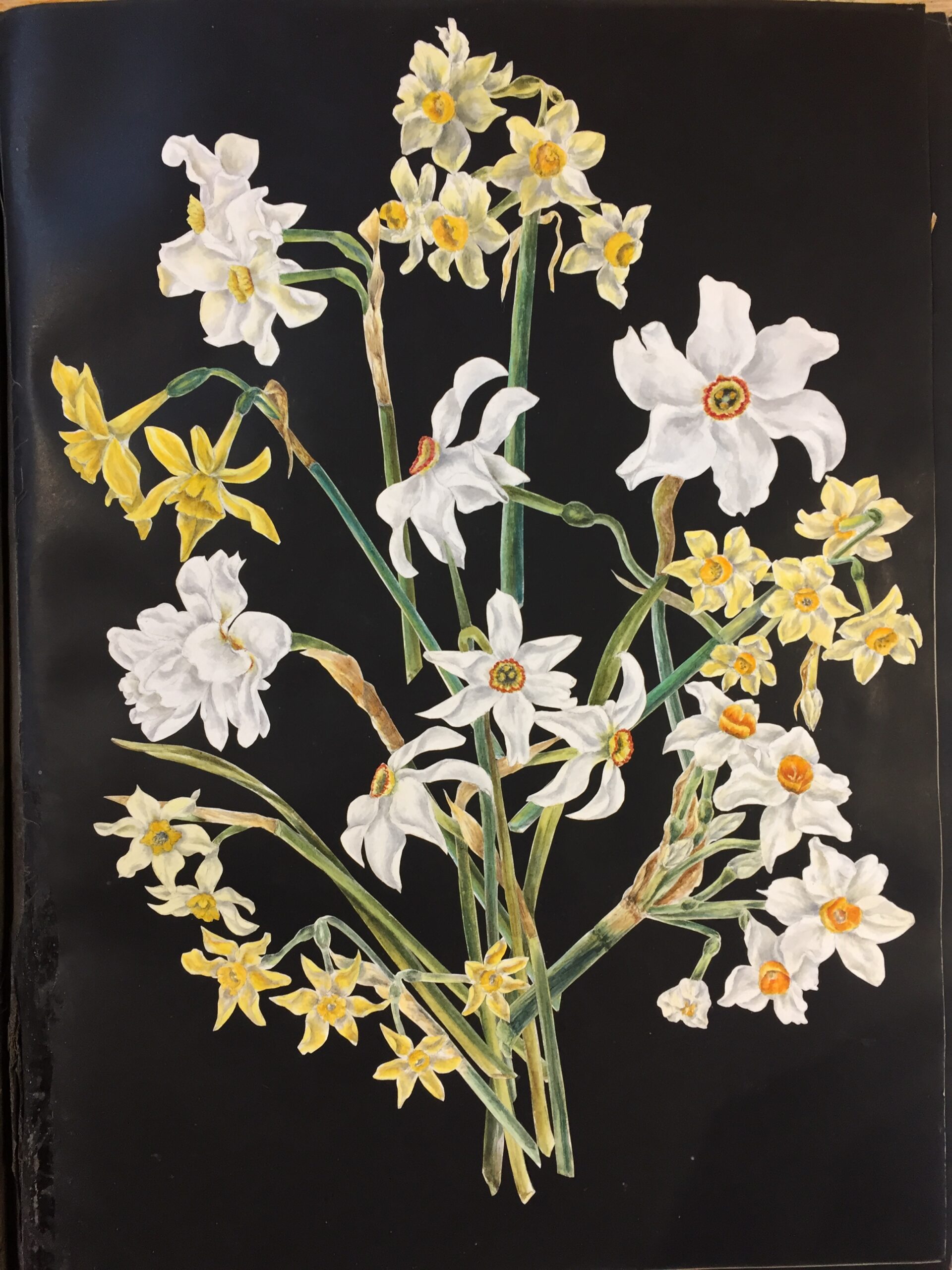 Painting of flowers