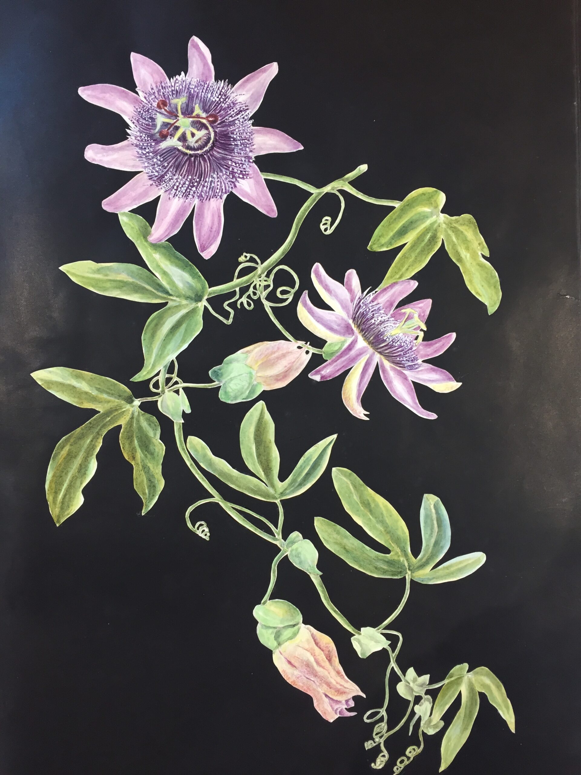 Painting of flowers