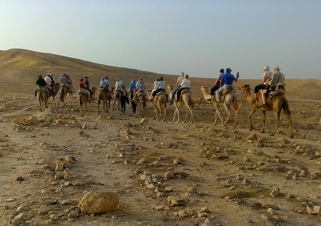 car_2016_06_10 Camels